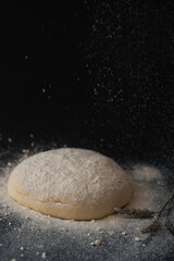 Fototapeta na wymiar Raised piece of dough for making