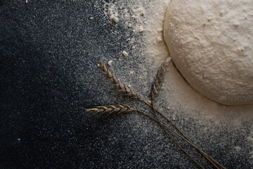 Raised piece of dough for making