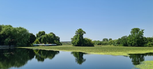 reflection of trees in water
