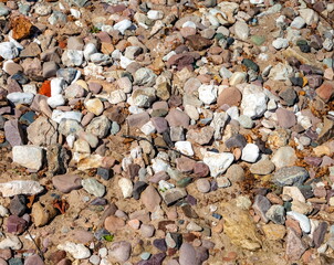 Pebbles close-up on the sandy bank of the river in summer