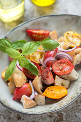 Bowl with tuscan-style tomato and bread salad or panzanella, vertical shot, selective focus, close-up