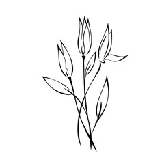 ornament 2482. bouquet of three flower buds on stems with pointed leaves in black lines on a white background