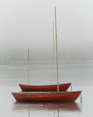 Vertical shot of red kayas in the water during a misty weather - obrazy, fototapety, plakaty