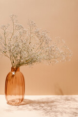 Branches of a dry fragile plant in a glass vase. Beige background with copy space, light and shadow.