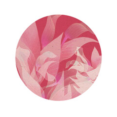Floral round sticker with transparent background, water lily, tulip pattern, round sticker, digital illustration
