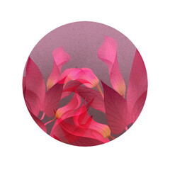 Floral round sticker with transparent background, water lily, tulip pattern, round sticker, digital illustration