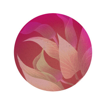 Floral round sticker with transparent background, water lily, tulip pattern, round sticker, digital illustration