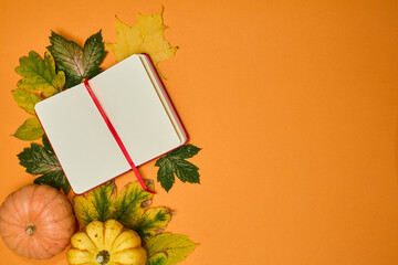 Halloween background concept. Notebook withleafs and pumpkin on orange background