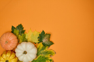 Halloween background concept. pumpkin red berry and leafs on orange background