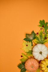 Halloween background concept. pumpkin red berry and leafs on orange background