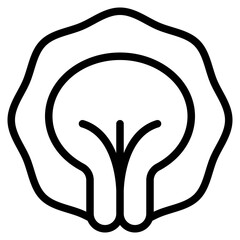 cappelletti pasta italian food