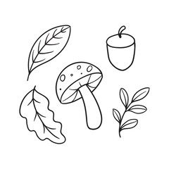 set of autumn element doodle hand drawn