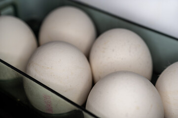 jajka w lodówce w białych skorupkach