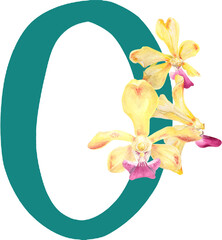 Custom hand drawn vanda orchids alphabet number 0