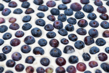 ciasto z borówkami i śmietaną