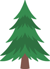 Hand Drawn Spruce Tree Watercolor