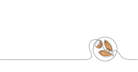 Vector outline illustration wth the almond seeds. Line calligraphic art wth the almond nuts.