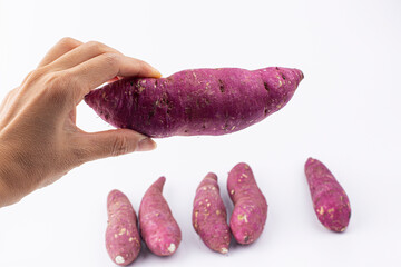 Hands holding fresh sweet potato