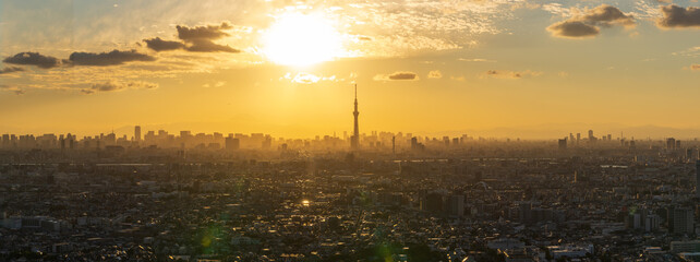 The Greater Tokyo area cityscape with Tokyo skytree illuminated by the Sun.