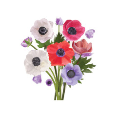 Beautiful watercolor flower plant illustration