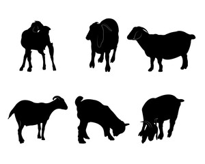 Collection of black silhouettes goats