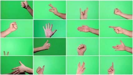 Video collage, human hand shows different gestures on chromakey background.