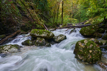 Naklejka na ściany i meble River rapids in the forest