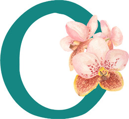 Custom hand drawn vanda orchids alphabet letter O