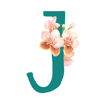 Custom hand drawn vanda orchids alphabet letter J