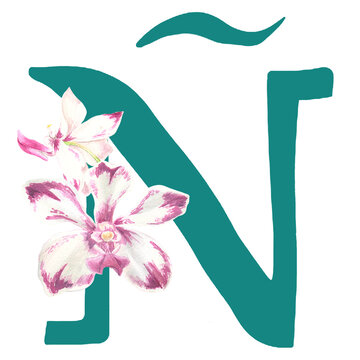 Custom hand drawn vanda orchids alphabet letter &Ntilde;