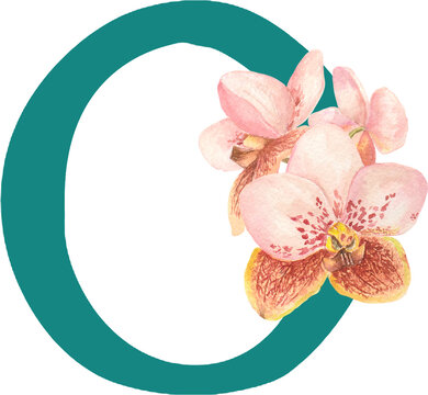 Custom hand drawn vanda orchids alphabet letter O