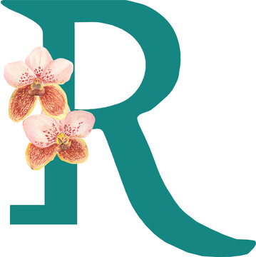Custom hand drawn vanda orchids alphabet letter R