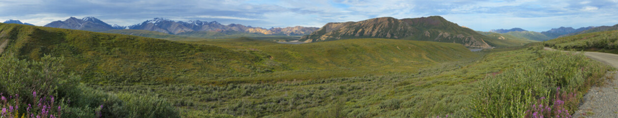 Fototapeta na wymiar Mountain panorama in Denali National Park and Preserve,Alaska,United States,North America 