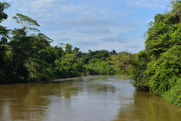 Fototapeta na wymiar The Cabixi river surrounded by dense Amazon rainforest on the border between the states of Rondonia and Mato Grosso, near the town of Cabixi, southern Rondonia state, Brazil
