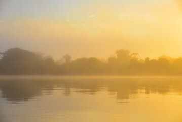 Dawn on a misty Amazonian rainforest riverbank in the Guaporé-Itenez river, near the small, remote village of Remanso, Beni Department, Bolivia, on the border with Rondonia state, Brazil