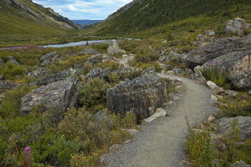 Fototapeta premium Hiking trail at Savage River in Denali National Park and Preserve,Alaska,United States,North America 