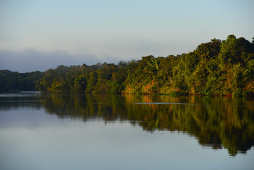 Fototapeta na wymiar Dawn on the rainforest-lined Guaporé-Itenez river, near Ilha das Flores, Rondonia state, Brazil, on the border with Beni Department, Bolivia