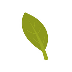 Autumn leaf fall icon and season nature vector illustration. October foliage decoration and seasonal plant design isolated white. Colorful element forest or botany. Flora symbol in flat style autumnal