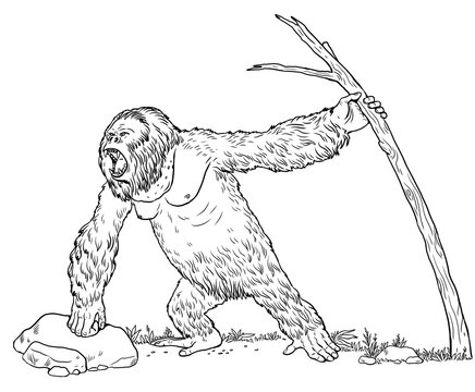Prehistoric primates gigantopithecus. Giant orangutan. Ancestors of humans for coloring book.