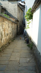 The beautiful traditional Chinese village view with the classical architecture and fresh green trees as background
