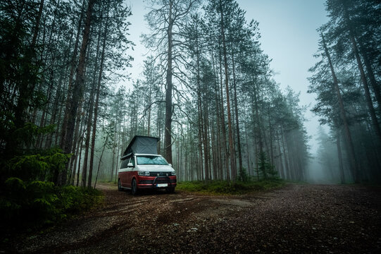 VW T6 California Bulli	