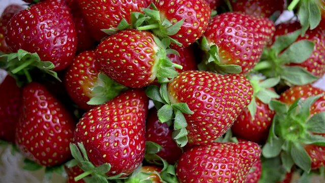 Strawberries is a stock video that contains fine footage of fresh strawberries rotating. T