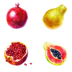 Watercolor illustration, set. Fruit. Pomegranate and papaya.