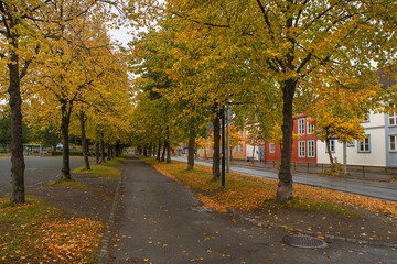 Alley in autumn, Trondheim, Norway