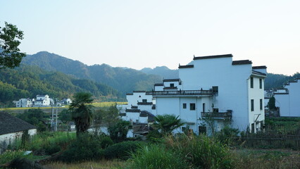 The beautiful traditional Chinese village view with the classical architecture and fresh green trees as background