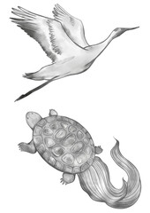 縁起物の鶴と亀　墨絵イラスト