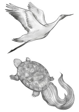 鶴亀 の画像 618 件の Stock 写真 ベクターおよびビデオ Adobe Stock