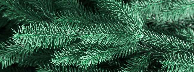 Green spruce branches.