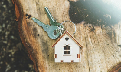 Vacation home. Construction of wooden houses. Environmentally friendly building materials.