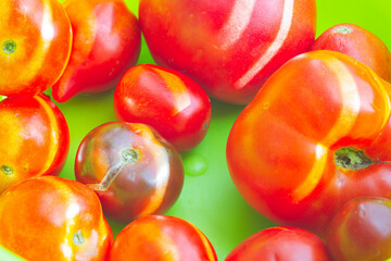 Red tomatoes. Fresh vegetables grown in greenhouse. Cherry tomatoes on green background.